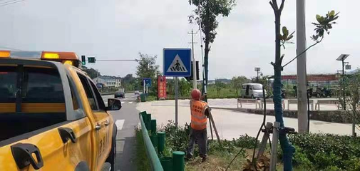 剪綠遮修護欄，筑牢公路交通安全生命線